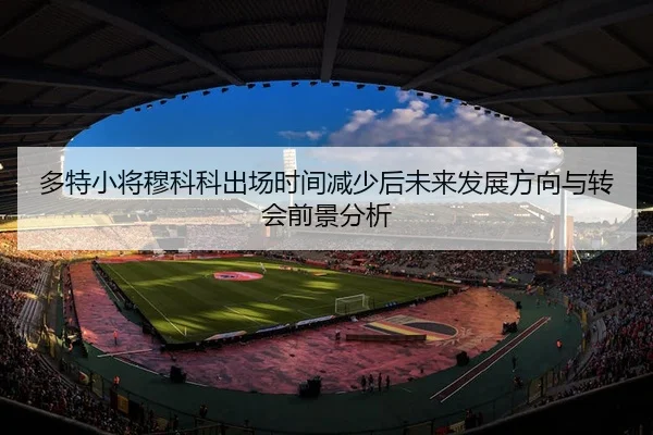多特小将穆科科出场时间减少后未来发展方向与转会前景分析 | kaiyun