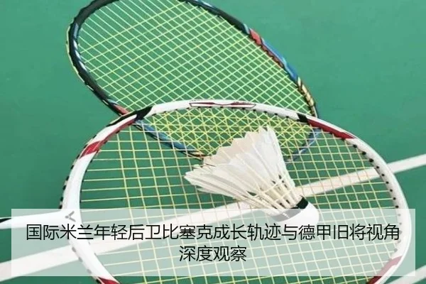 国际米兰年轻后卫比塞克成长轨迹与德甲旧将视角深度观察